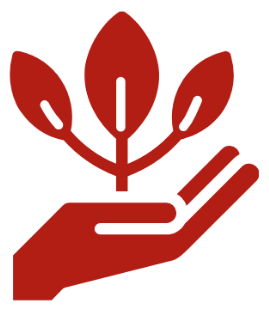 Red Icon